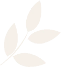 hero-leaf-3.png